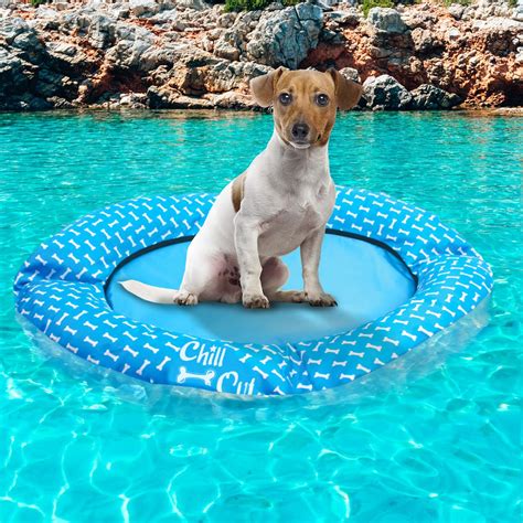 ALL FOR PAWS Dog Float for Pool no Need to inflate Pool Float for Dogs ...