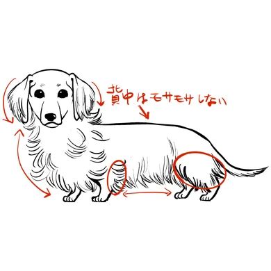Image result for Perceptron Algorithm Example