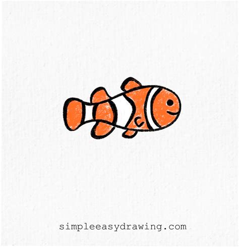 How to Draw a Clownfish - Easy Step by Step Tutorial With Pictures for Kids