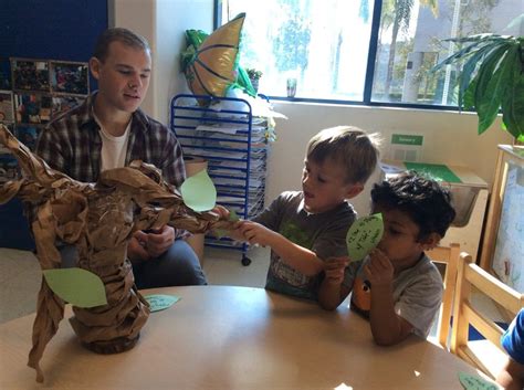 Washing Tree Activities 的图像结果