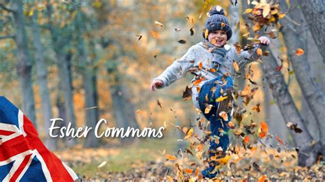 West End And Esher Commons Walk - Sunday 12 Oct 2025, Coventry train ...