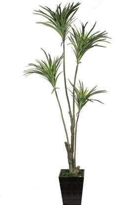 PolliNation White Yucca Artificial Plant Price in India - Buy ...