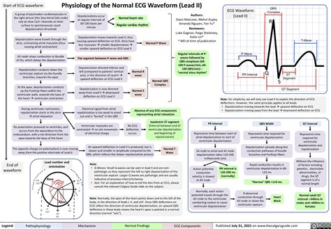 Basic Ekg Anatomy And Physiology