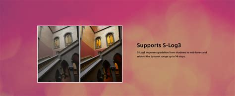 Sony Alpha ILCE-7C Compact Full Frame Camera | 4K with Flip Screen ...