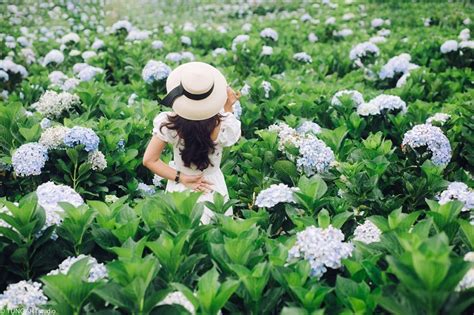 OIP.4caS63HCxZB2Pyf4jHnmkQHaE7