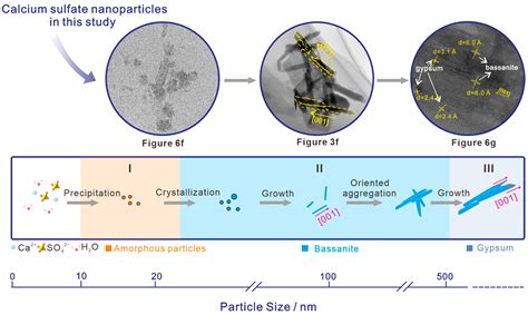 Calcium Sulfate Nanoparticles in Surface Sediments of Lingding Bay of ...