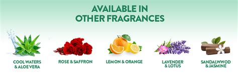 Air Wick 245 ml (Pack of 2) - Sandalwood & Jasmine, Room Air Freshener ...