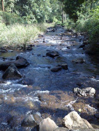 Hebbe Falls (Chikmagalur) - 2018 What to Know Before You Go (with ...
