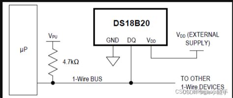 Install DS18B20 Using Pg7 的图像结果