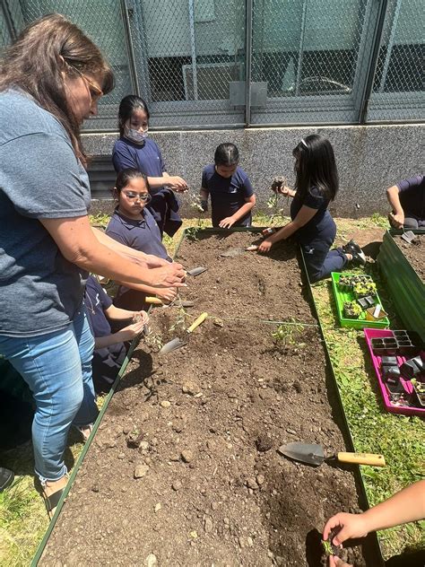 John Marshall School No. 20 – Union County Plant A Seed Blog