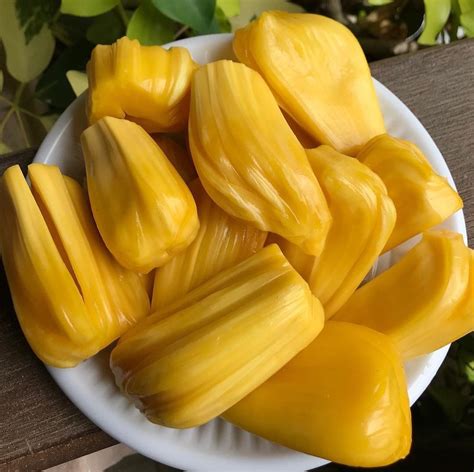 can pregnant women eat durian - Michael Parsons