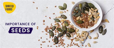Importance of Seeds – Shreeji Foods