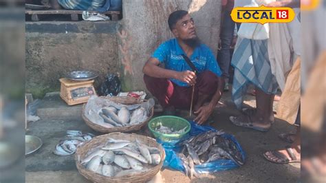 Hilsa Fish in Market: সময়ের আগেই বাজারে ইলিশ, লটে! ব্যান পিরিয়ড না ...