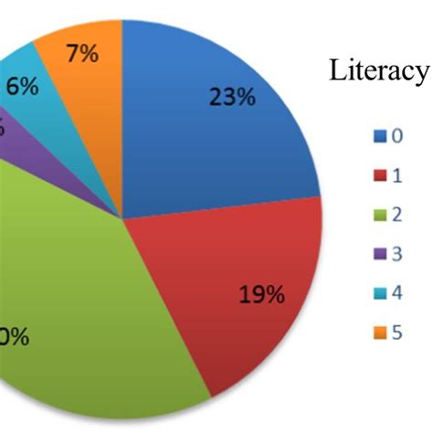 Image result for Levels of Computer Knowledge Use Scale