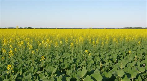 Saginaw County GIS: Tools for the Community - TechGEO Mapping