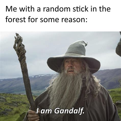 Some gandalf memes, enjoy! : r/lotrmemes
