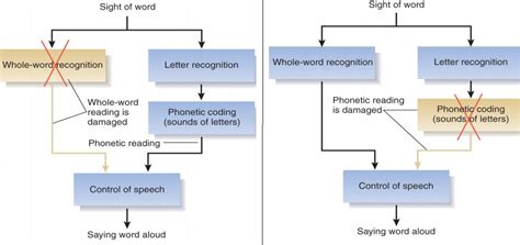 How Programming Communication System Heil 的图像结果