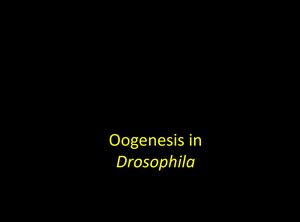 Fate Map - Best notes ever - FATE MAP Fate Map • A chart showing the ...