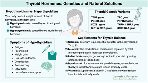 Symptoms Of Suppressed Thyroid: Hypothyroïdie Symptômes Et Traitement – LVGFW