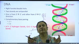 Ace Achievers Dental Academy