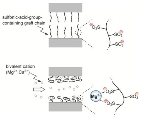 Recent Progress in Charged Polymer Chains Grafted by Radiation-Induced ...
