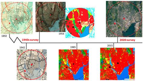 Insects | Special Issue : Forensic Entomology: Beyond the Bounds of ...