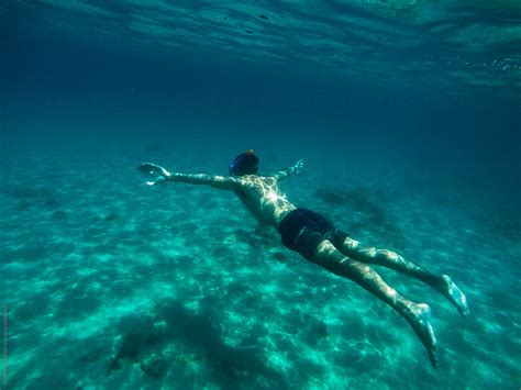Swimming Underwater 的图像结果