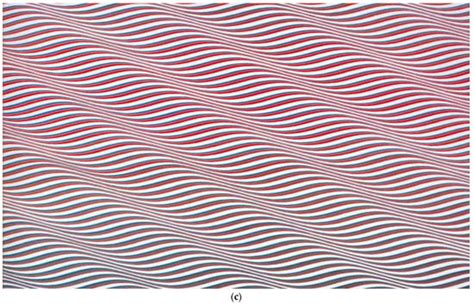 Disconjugate Eye Movements in Dyslexic Adolescents While Viewing Op Art ...