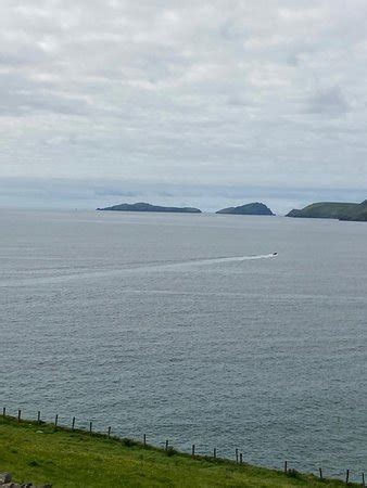 Sage Taxis - Killarney | Tripadvisor