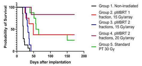 First Evaluation of Temporal and Spatial Fractionation in Proton ...