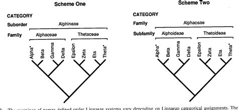 Image result for Linnaean Hierarchy Explained
