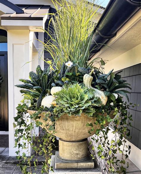 Large Potted Plant for Autumn Home Decor