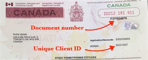 如何在加拿大续签学习许可证？优途一步步教你如何延续学签