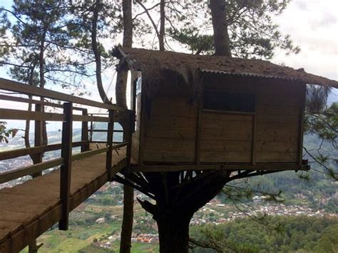 OMAH KAYU (Batu) - Lodge Reviews & Photos - Tripadvisor