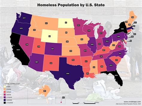 The U.S. Homeless Population Mapped - Vivid Maps