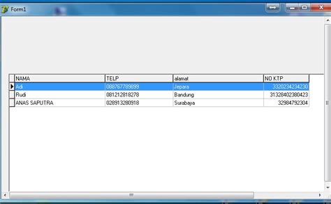 Delphi SQLite Server 的图像结果