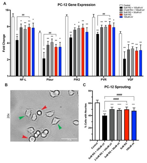 Biomolecules | August 2023 - Browse Articles