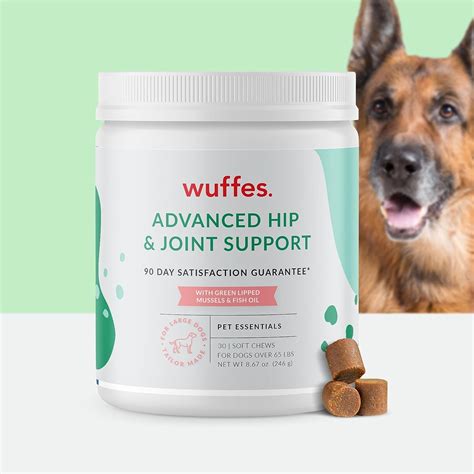 Best Hip And Joint Supplement For Dogs: Top Picks For 2025 - Hearts Of Pets