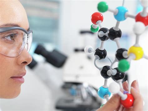 Image result for Understanding Rabbit Behavior