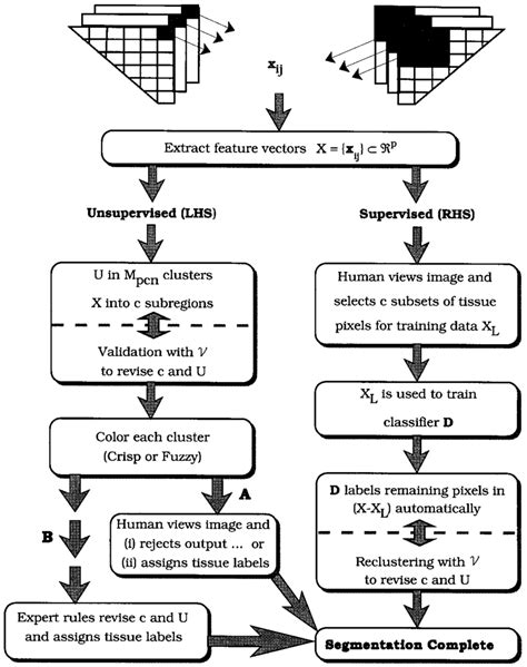 Image result for Image Segmentation Using Unsupervised Learning