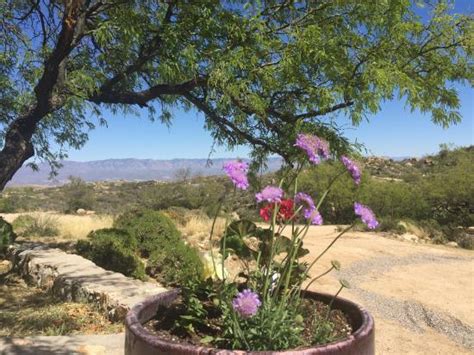 HISTORIC C.O.D. RANCH (Oracle) - Ranch Reviews, Photos, Rate Comparison ...