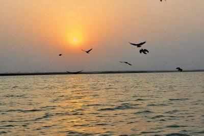 Ganga Sagar: River Ganga to be developed as major tourist destination ...
