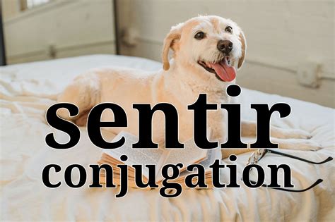 Sentir Conjugation in Spanish: Every tense, with examples