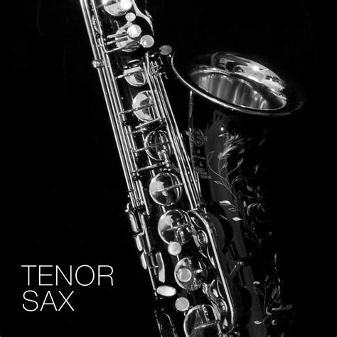 Tenor Saxophone by Hidde Pieters - decent|SAMPLES