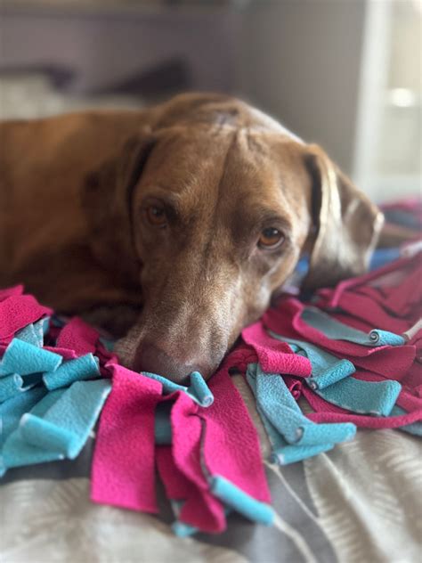 I love to celebrate my coworkers...so I'd be remiss to not recognize my ...