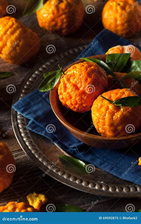 Raw Organic Gold Nugget Mandarin Oranges Stock Image - Image of peel ...