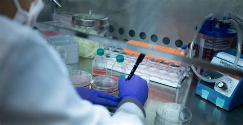 Science Daily 的图像结果