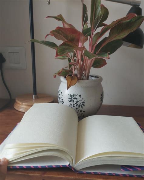 Handcrafted Diary - Blue & purple – Ramanika