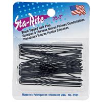 Image result for Sta-Rite Website