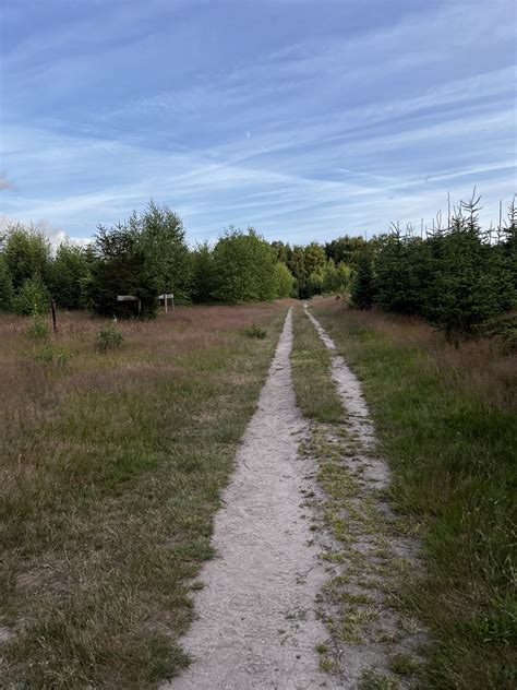 Mila-Marie Bleeksma on Twitter: "Avondwandeling op de Naarder Eng 😍 https://t.co/opZYXnJOJ9 ...